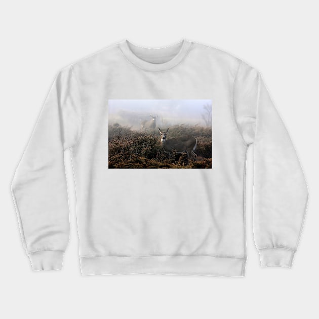 The rut is on! - White-tailed deer in fog Crewneck Sweatshirt by Jim Cumming